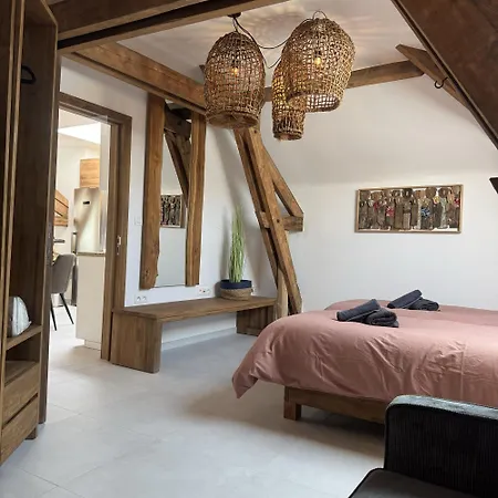 Alissa Airport Apartament Charleroi