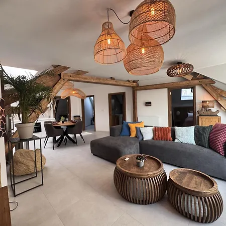 Alissa Airport Apartament *