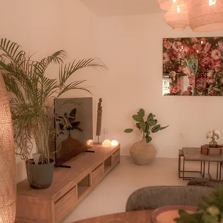 Alissa Airport Apartment *